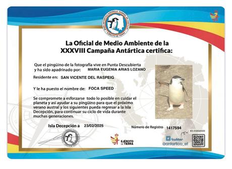 Foca-speed-Apadrina-pinguino