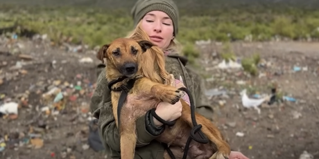 Cachorro rescatado superó el abandono y el miedo 3