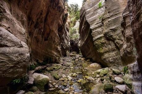 Tu guía definitiva para explorar gorges de l’Aveyron con estilo Tu guía definitiva para explorar gorges de l’Aveyron con estilo
