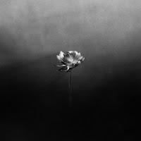 Little Simz estrena Flood como adelanto de Lotus