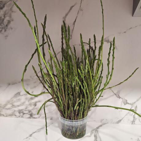 Tortilla de espárragos trigueros con cebolla y queso brie