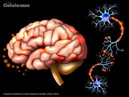 Qué le hace a nuestro cerebro consumir tantas noticias