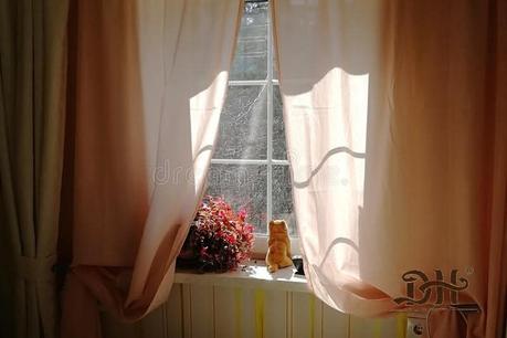 - Cambio de Estación.