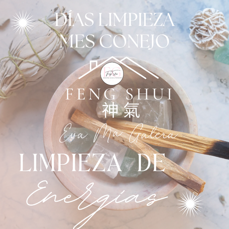 🪔Estos son los días del mes Conejo 🐇 que son ideales para limpiar.