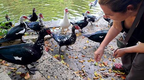 JAPÓN : EL LEGADO DEL REINO RYŪKYŪ EN OKINAWA JAPÓN : EL LEGADO DEL REINO RYŪKYŪ EN OKINAWA