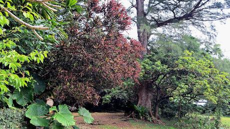 JAPÓN : EL LEGADO DEL REINO RYŪKYŪ EN OKINAWA JAPÓN : EL LEGADO DEL REINO RYŪKYŪ EN OKINAWA