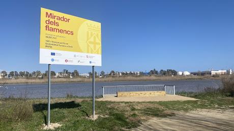 Flamencos con anillas LHPJ, V/231, V/276 y KXTD Flamencos con anillas LHPJ, V/231, V/276 y KXTD