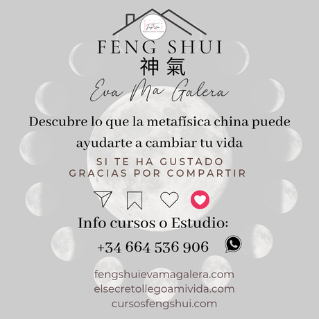 🌙 Hoy 6 y el Domingo 9 es Luna Creciente 🌒