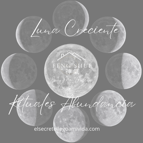 🌙 Hoy 6 y el Domingo 9 es Luna Creciente 🌒