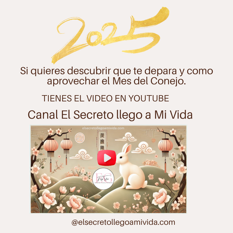 ✨Energías marzo 2025 del mes del Conejo de Tierra Yin