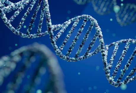 Descubierta una nueva forma de herencia alejada del ADN