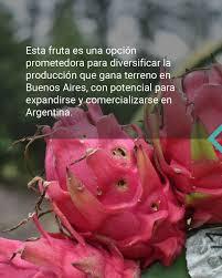 CULTIVOS EXOTICOS