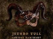 Jethro Tull tipu house (2025)