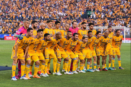 Como es el llamado Perfil Tigres, características del Perfil Tigre