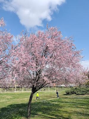 La insoportable soledad