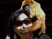 Greenhushing: ¿por empresas ocultan logros ambientales?