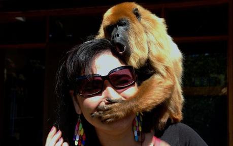 El greenhushing o ecosilencio es la práctica  que utilizan las empresas para evitar comunicar públicamente sus iniciativas de sostenibilidad