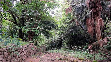 JAPÓN : LOS LUGARES SAGRADOS DE ISLA KUDAKA Y SEFA-UTAKI JAPÓN : LOS LUGARES SAGRADOS DE ISLA KUDAKA Y SEFA-UTAKI