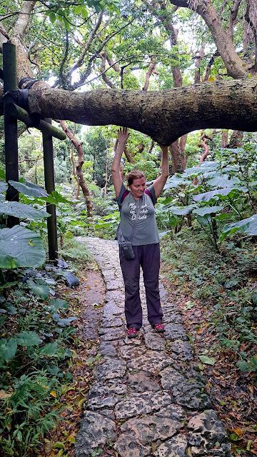 JAPÓN : LOS LUGARES SAGRADOS DE ISLA KUDAKA Y SEFA-UTAKI JAPÓN : LOS LUGARES SAGRADOS DE ISLA KUDAKA Y SEFA-UTAKI