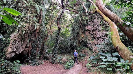 JAPÓN : LOS LUGARES SAGRADOS DE ISLA KUDAKA Y SEFA-UTAKI JAPÓN : LOS LUGARES SAGRADOS DE ISLA KUDAKA Y SEFA-UTAKI