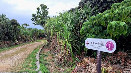 JAPÓN : LOS LUGARES SAGRADOS DE ISLA KUDAKA Y SEFA-UTAKI JAPÓN : LOS LUGARES SAGRADOS DE ISLA KUDAKA Y SEFA-UTAKI