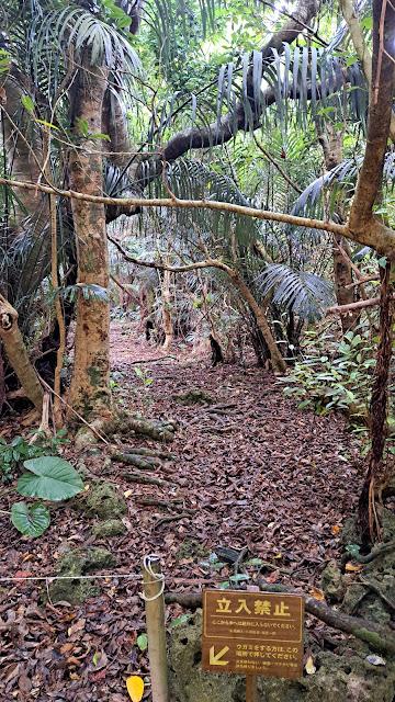 JAPÓN : LOS LUGARES SAGRADOS DE ISLA KUDAKA Y SEFA-UTAKI JAPÓN : LOS LUGARES SAGRADOS DE ISLA KUDAKA Y SEFA-UTAKI
