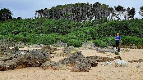 JAPÓN : LOS LUGARES SAGRADOS DE ISLA KUDAKA Y SEFA-UTAKI JAPÓN : LOS LUGARES SAGRADOS DE ISLA KUDAKA Y SEFA-UTAKI