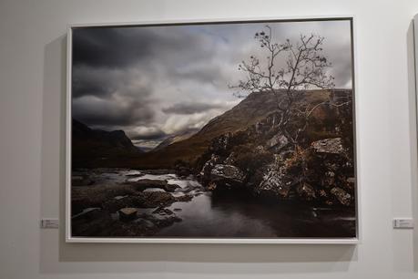 ART MADRID '25 explora la naturaleza, los animales y los desafíos climáticos a través de artistas diversos