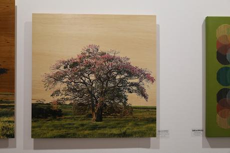 ART MADRID '25 explora la naturaleza, los animales y los desafíos climáticos a través de artistas diversos