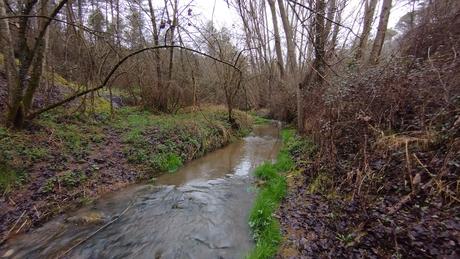 Ruta circular al Salt del Molí de Bellús: un tesoro natural de la Riera de Graugès | Berguedà