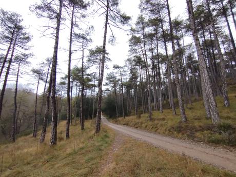 Ruta circular al Salt del Molí de Bellús: un tesoro natural de la Riera de Graugès | Berguedà