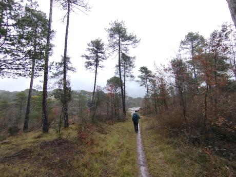 Ruta circular al Salt del Molí de Bellús: un tesoro natural de la Riera de Graugès | Berguedà