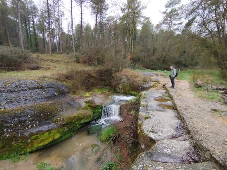 Ruta circular al Salt del Molí de Bellús: un tesoro natural de la Riera de Graugès | Berguedà