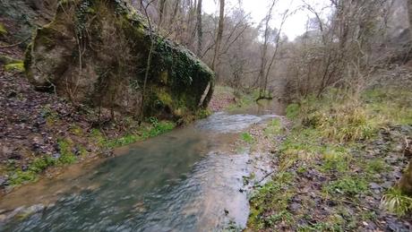 Ruta circular al Salt del Molí de Bellús: un tesoro natural de la Riera de Graugès | Berguedà