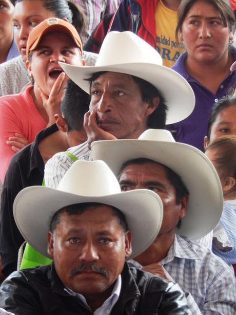 XENOFOBIA Y MIGRANTES