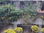 Japón cuartel general subterráneo batalla okinawa