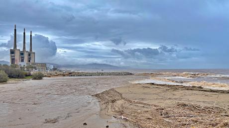 Crecida del Río Besòs: Cañas, Barro y Aves