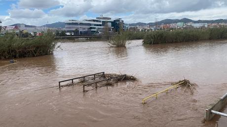 Crecida del Río Besòs: Cañas, Barro y Aves