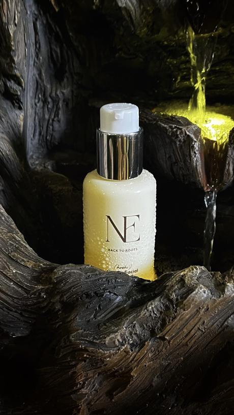 NE back to the roots marca Cosmética de Nicole Neumann lanzamiento NE Nicole Neumann marca cosmética lanzamiento productos opinión precio donde se vende cremas agua micelar suero ingredientes edad hijos joven separada estatura marido embarazada indiana siena cruz Maucera