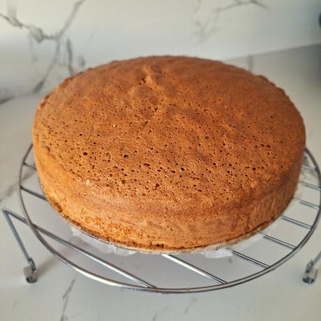 Bizcocho de naranja bañado en chocolate con naranja confitada Bizcocho de naranja bañado en chocolate con naranja confitada
