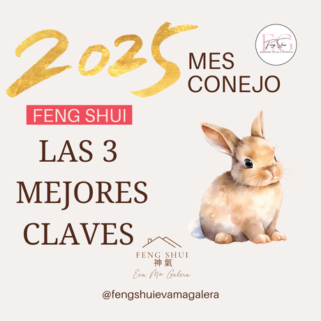 ✨Las 3 Mejores Claves de marzo 2025 del mes del Conejo de Tierra Yin
