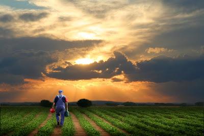 La Frase del Día...