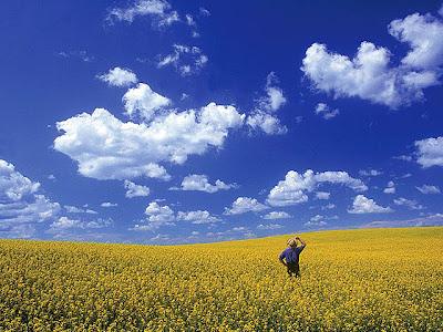 La Frase del Día...