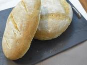 basico, masa madre acida