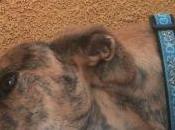 Fotos como esta hacen seguir adelante