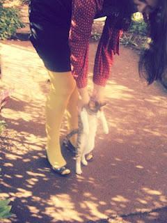 Look del día: avance otoñal