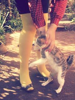 Look del día: avance otoñal