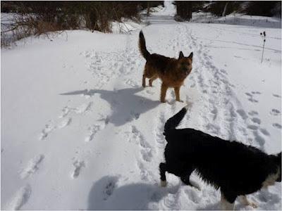 Crónicas de Invierno III