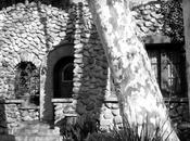 Moby estrena blog arquitectura