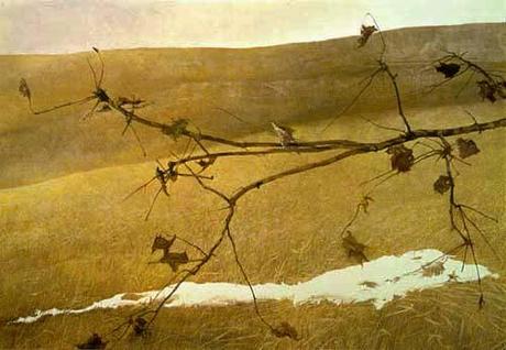 A: Wyeth A: Wyeth